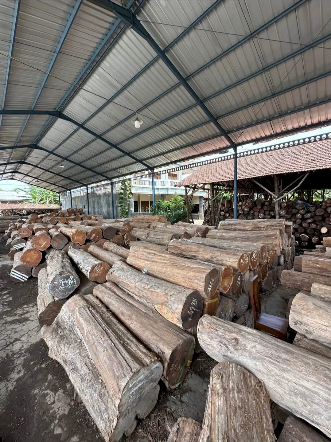 Timber - PT Agrijaya Abadi Kayaraya